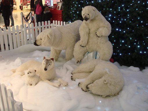 De ijsberen in het winkelcentrum van Brighton