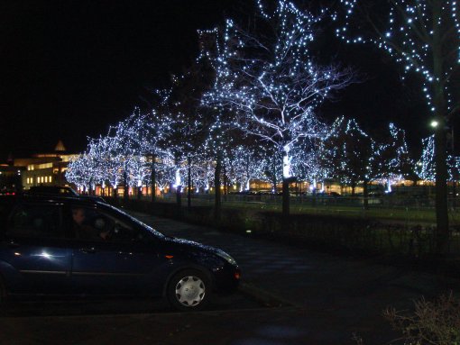 Op de toegangswegen op het parkeerterrein zijn alle bomen verlicht.