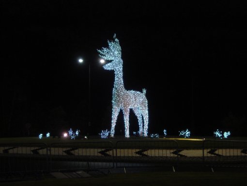 Op de rotondes rondom de mall staan deze verlichte elanden.