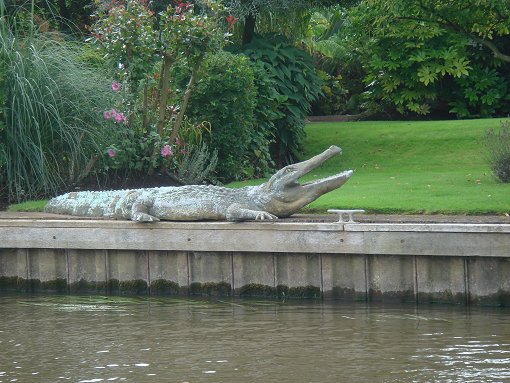 Een Thames krokodil