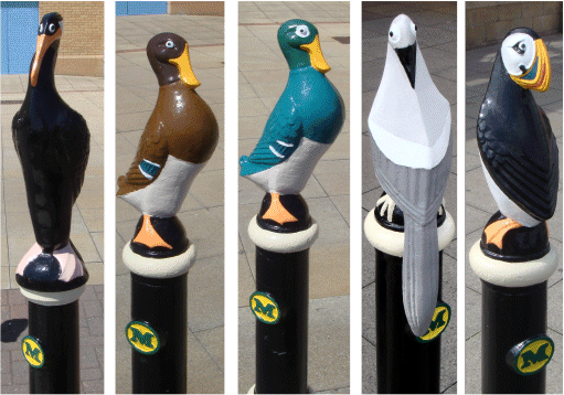 Verschillende vogels op de paaltjes voor supermarkt Morrisons in Morecambe